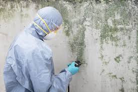 Buffalo, SC Mold Removal Company